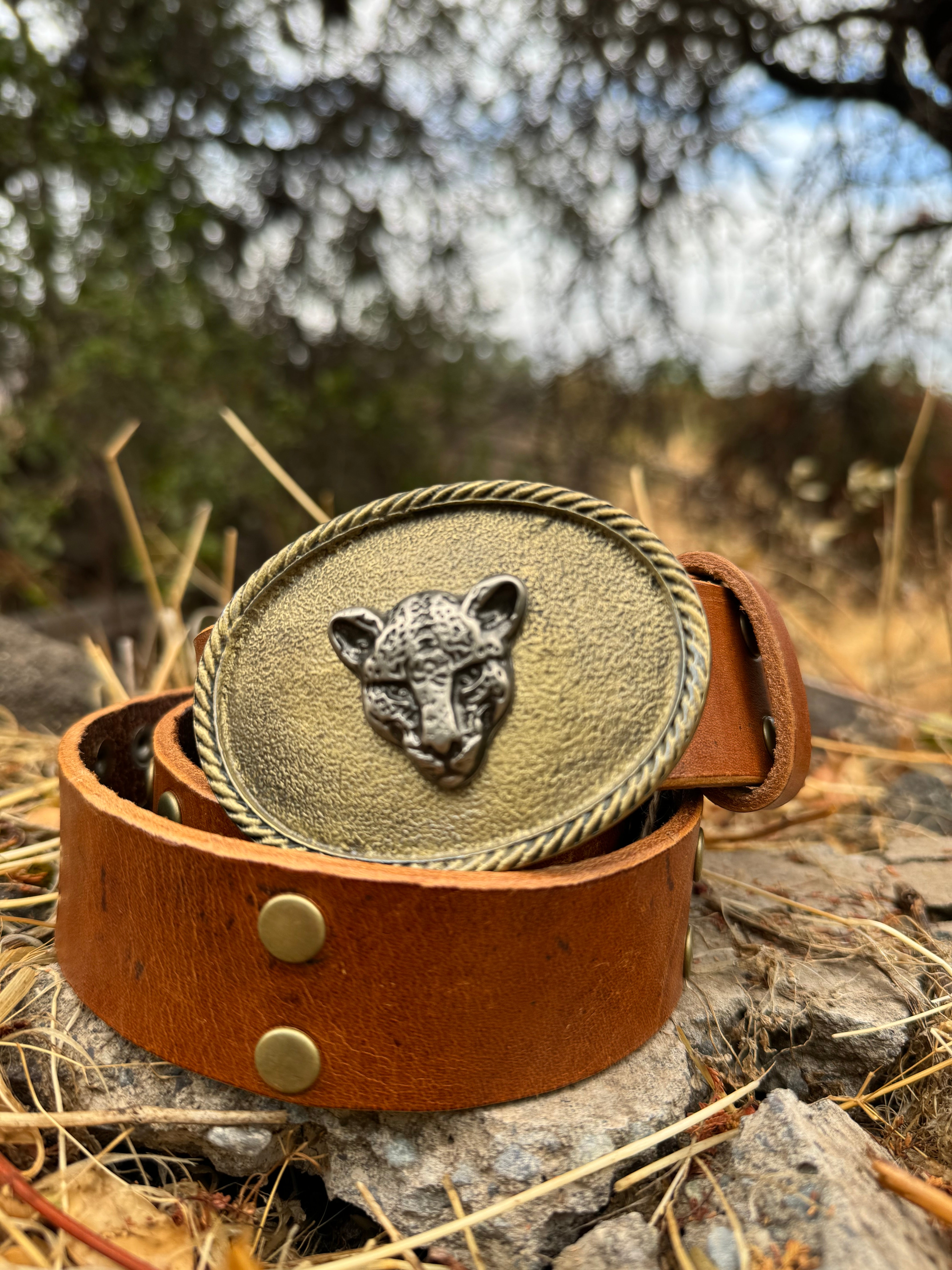 CINTURON CUERO TACHA CAFE HEBILLA DORADA