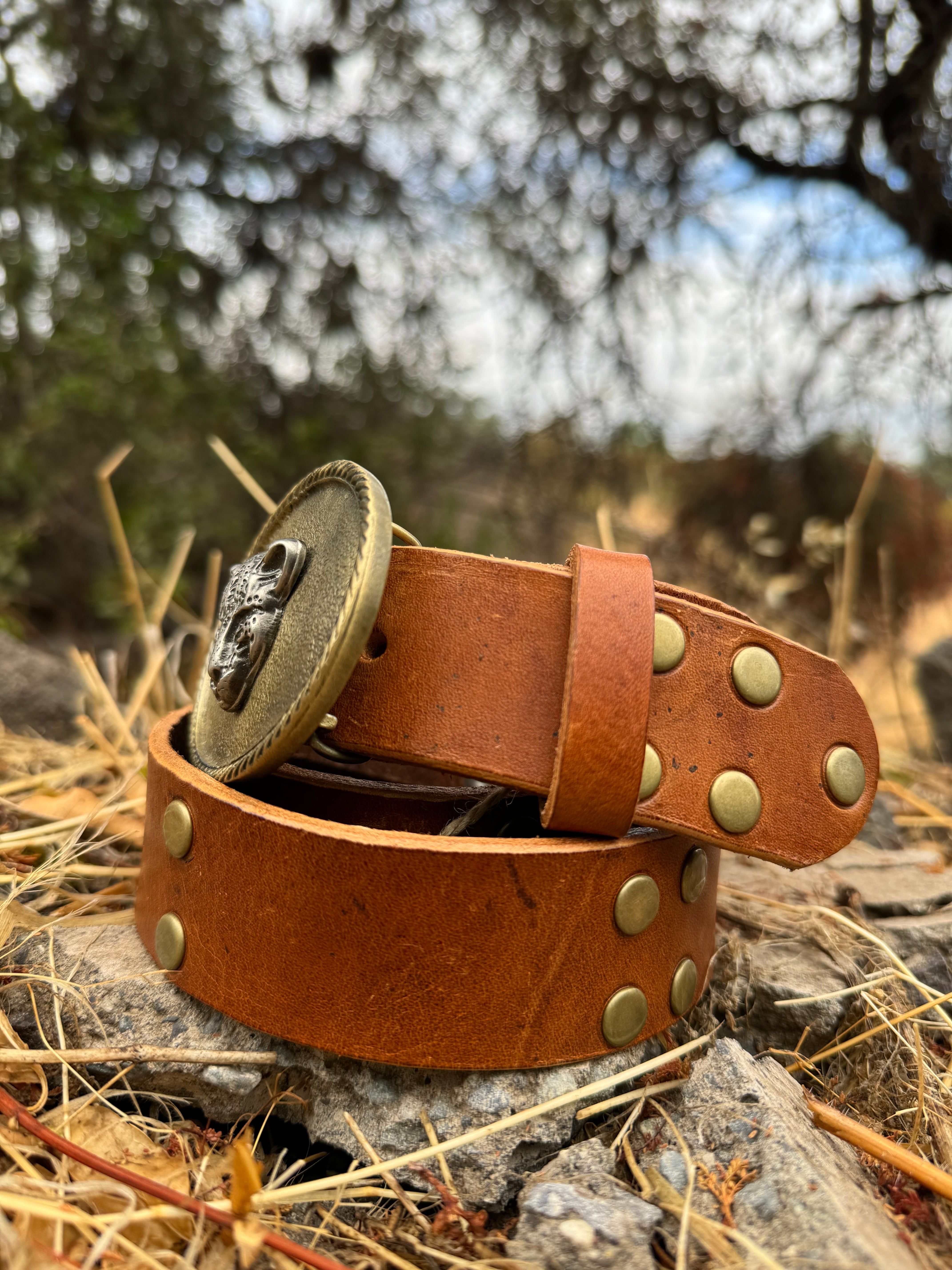 CINTURON CUERO TACHA CAFE HEBILLA DORADA